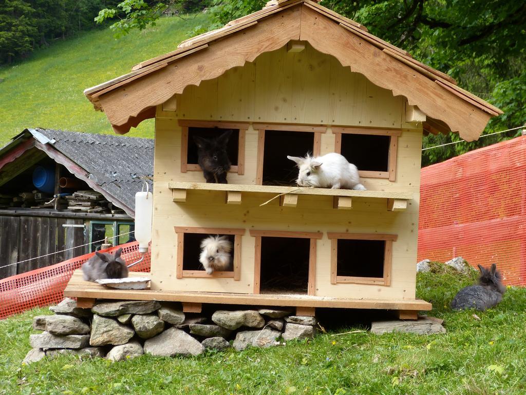 Schieplechnerhof Lägenhet Schladming Exteriör bild