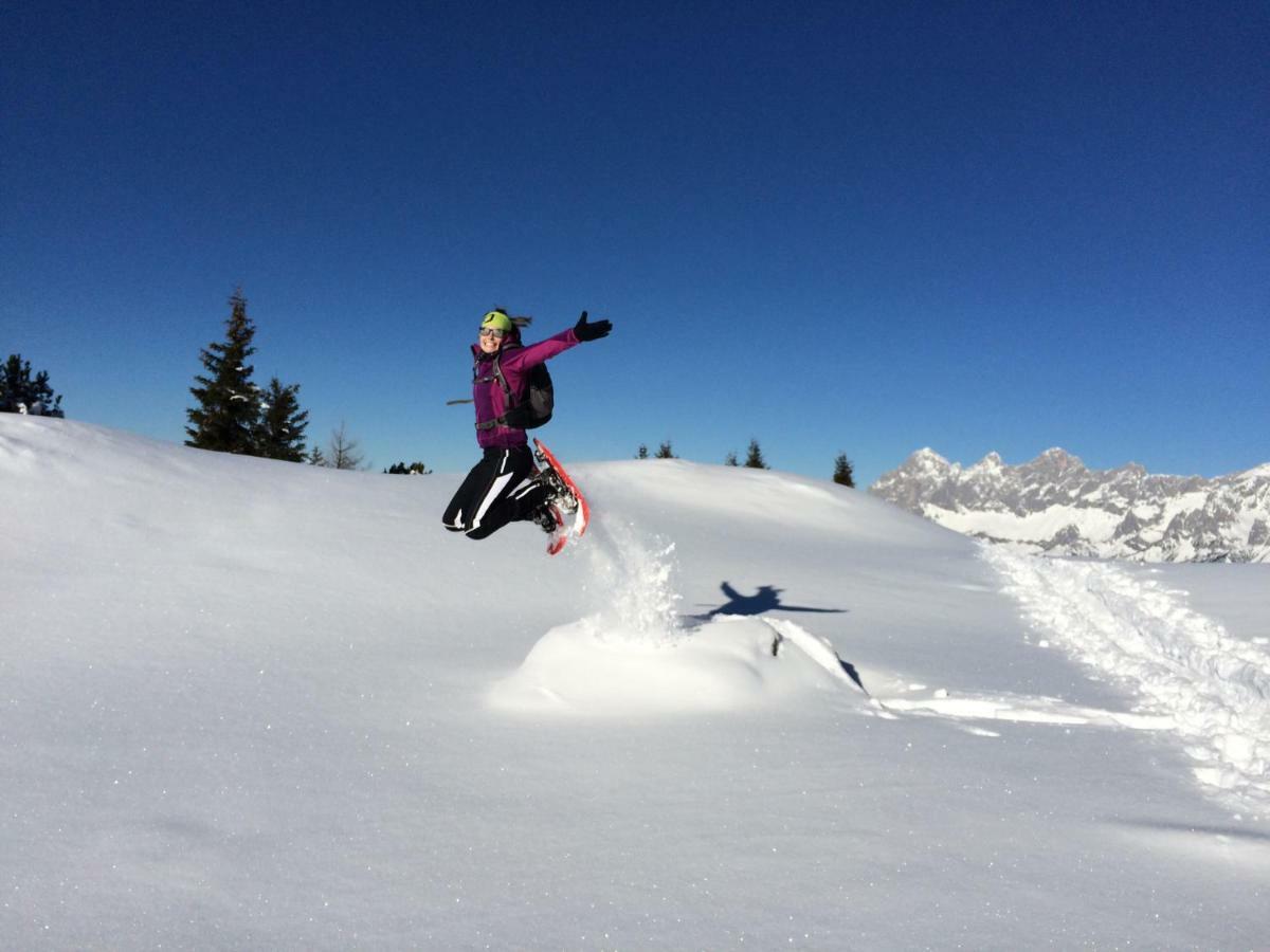 Schieplechnerhof Lägenhet Schladming Exteriör bild