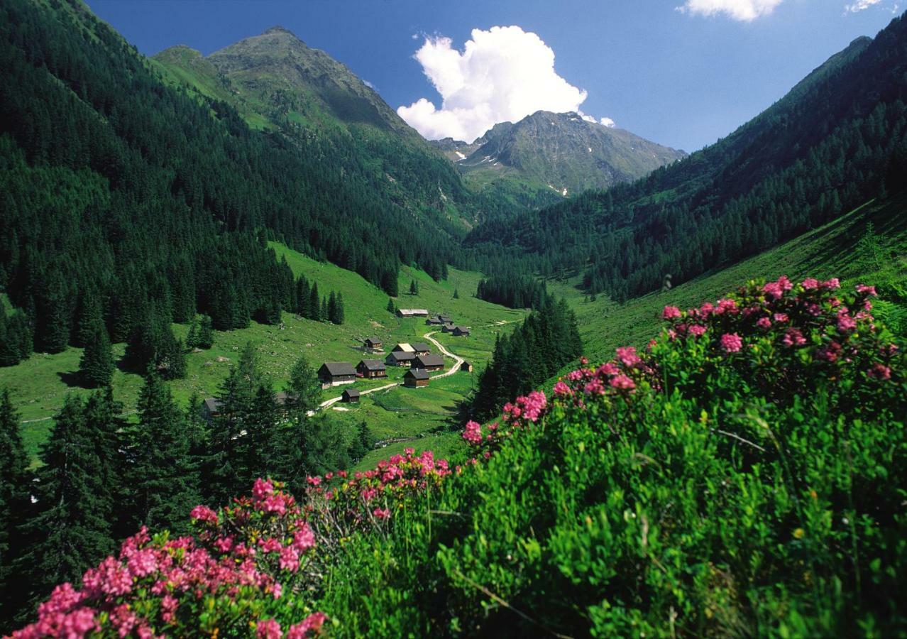 Schieplechnerhof Lägenhet Schladming Exteriör bild