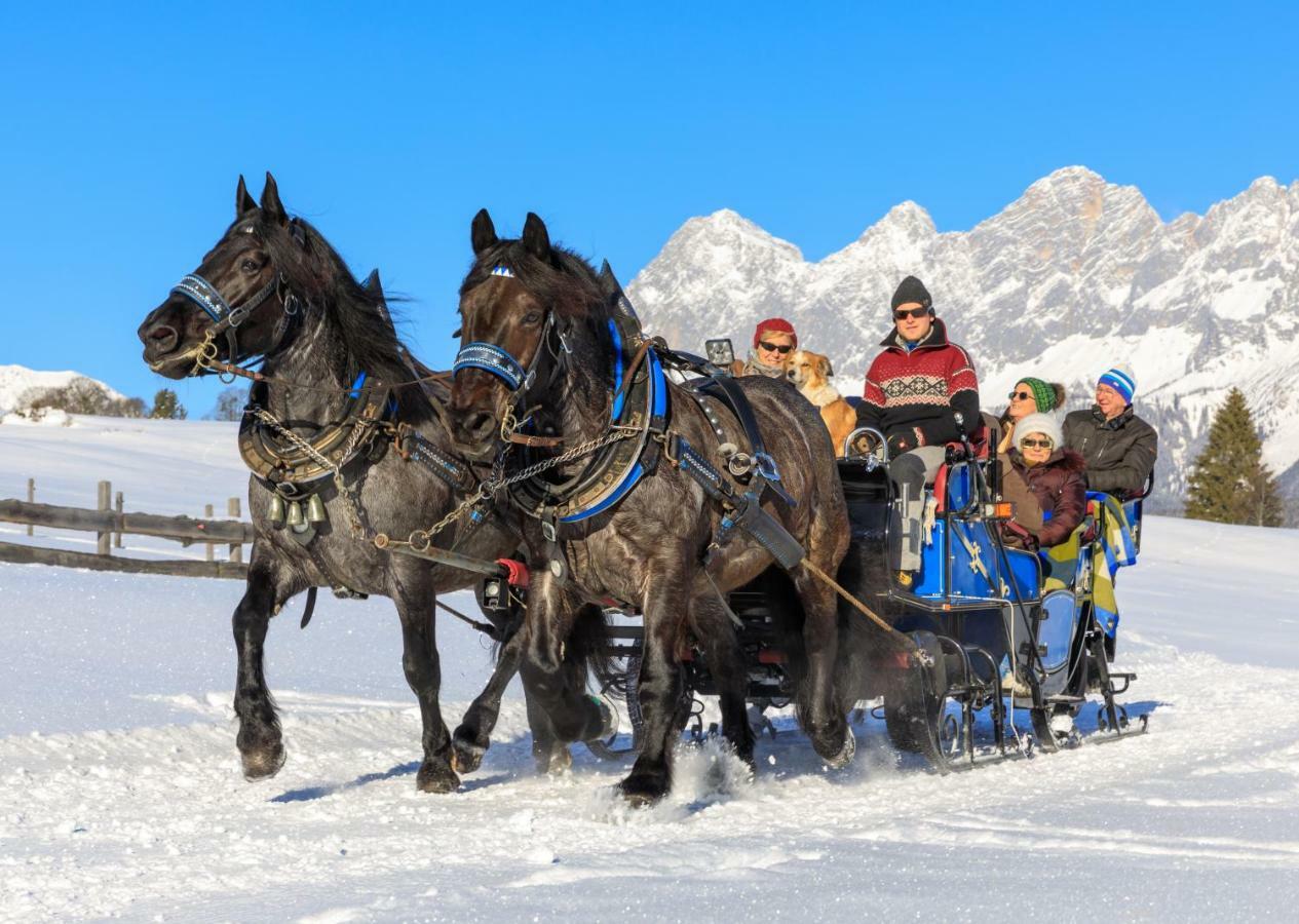 Schieplechnerhof Lägenhet Schladming Exteriör bild