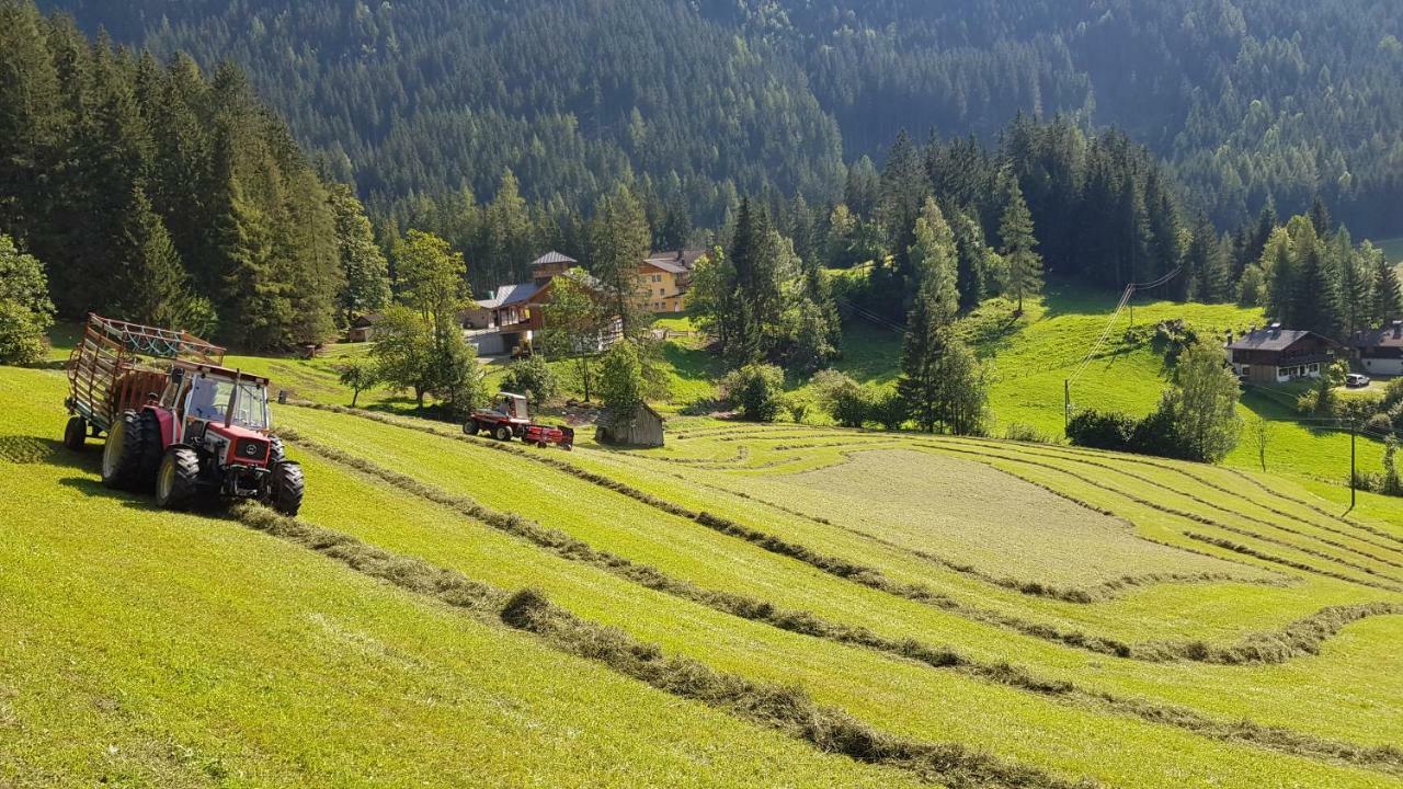 Schieplechnerhof Lägenhet Schladming Exteriör bild